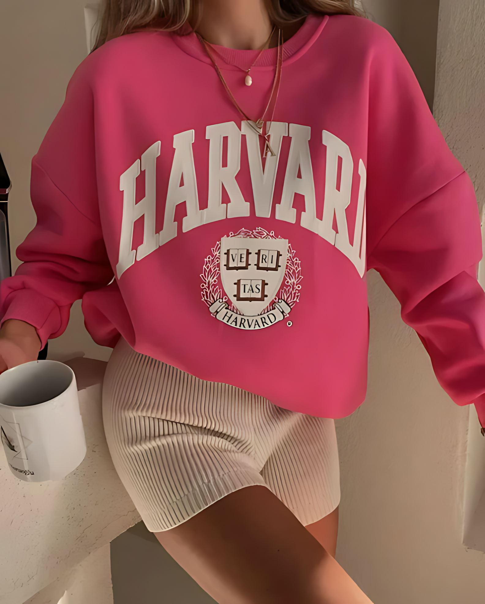 Classic Harvard Sweatshirt